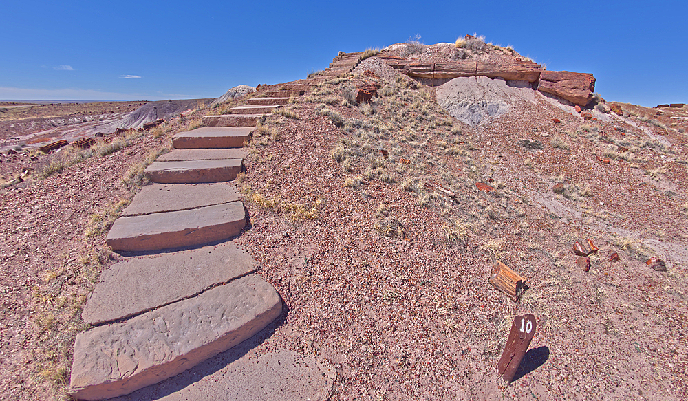 Steps along the Giant Logs Trail leading to a scenic overlook in Petrified Forest National Park, Arizona, United States of America, North America