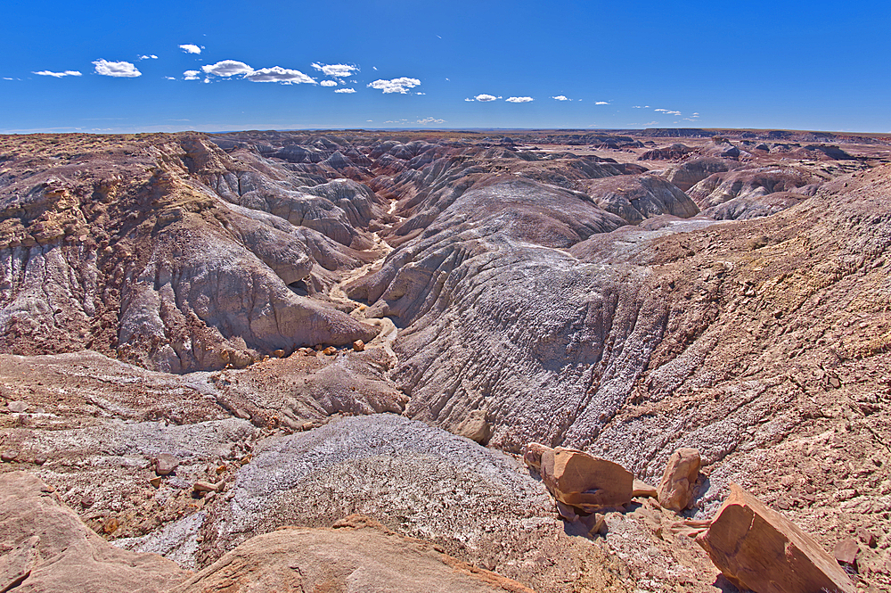 A deep canyon eroded thru the hills of purple and gray bentonite clay near Hamilili Point on the south end of Petrified Forest National Park, Arizona, United States of America, North America