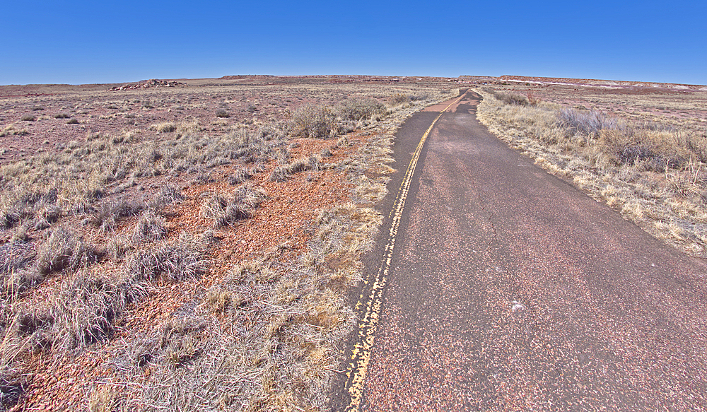 The paved path, that used to be an old road, leading to the Long Logs Trail and Agate House in Petrified Forest National Park, Arizona, United States of America, North America