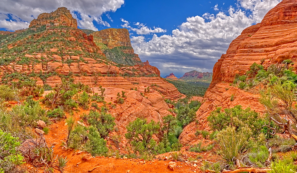 View of Chicken Point from the end of the High On The Hog Trail in Sedona, Arizona, United States of America, North America