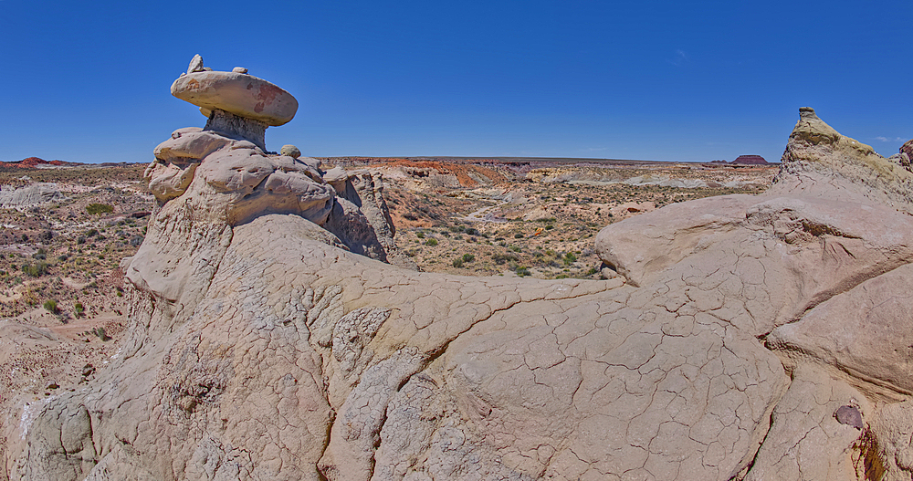 Mushroom shaped sandstone spire on an eroded ridge west of Hamilili Point in Petrified Forest National Park, Arizona, United States of America, North America