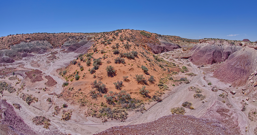 A sloping red sand dune above Hamilili Wash in Petrified Forest National Park, Arizona, United States of America, North America