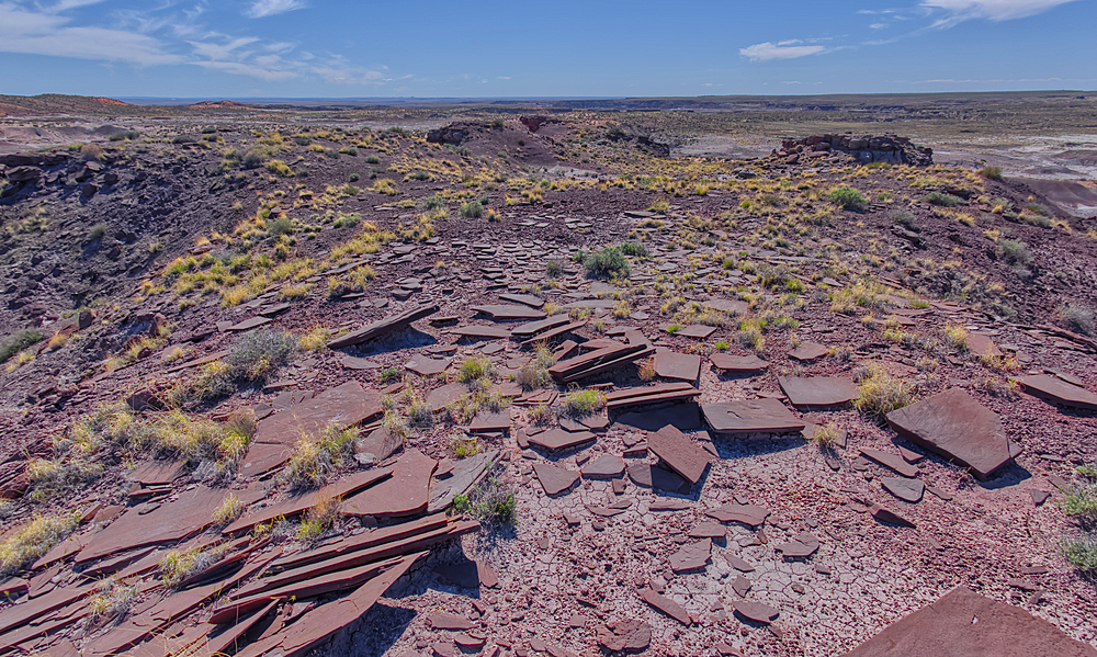 Slabs of brown sandstone on the summit of Crystal Mesa west of Hamilili Point in Petrified Forest National Park, Arizona, United States of America, North America