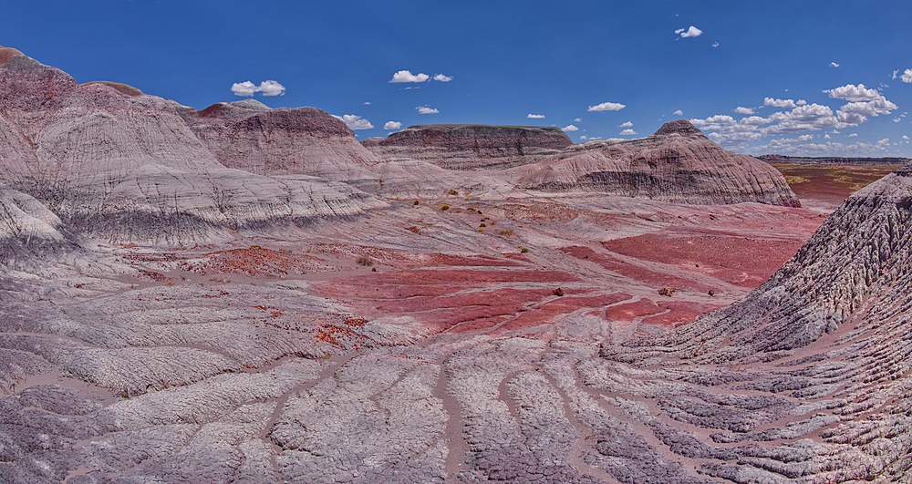 East slopes of Haystack Mesa in Petrified Forest National Park, Arizona, United States of America, North America