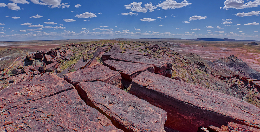 The summit of Haystack Mesa in Petrified Forest National Park, Arizona, United States of America, North America