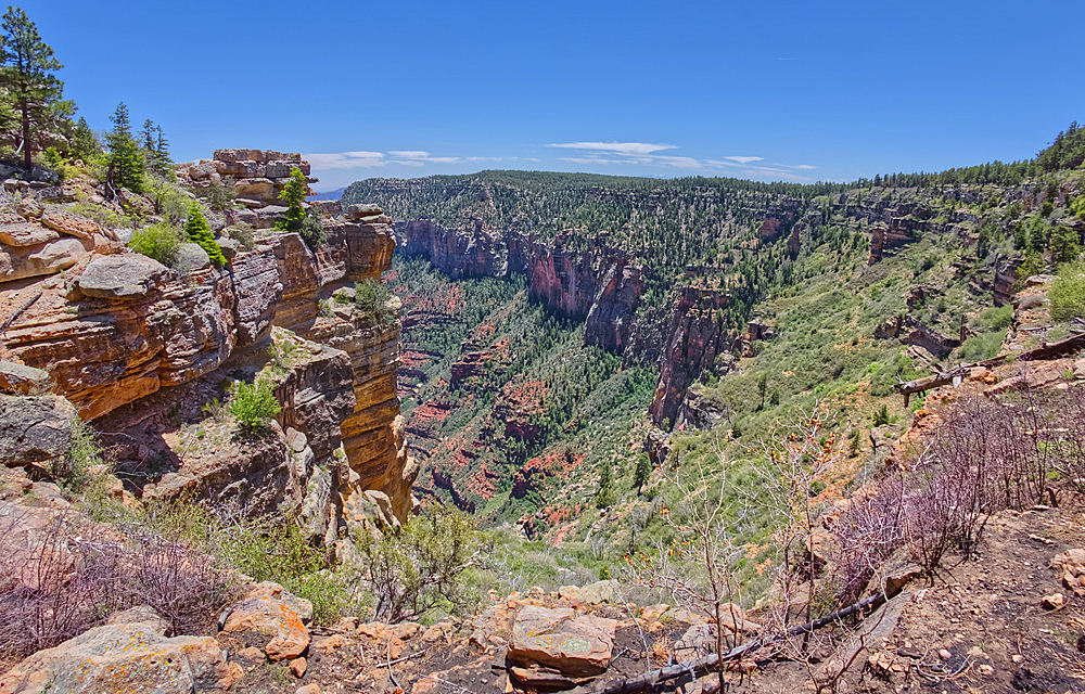 Cliff views south of Naji Point on the North Rim of Grand Canyon National Park, UNESCO World Heritage Site, Arizona, United States of America, North America