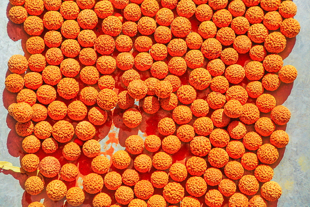 Dried Quandong Seeds (Santalum acuminatum) (quandong of the desert), Australian bush food eaten by Australian aborigines, Northern Territory, Australia, Pacific