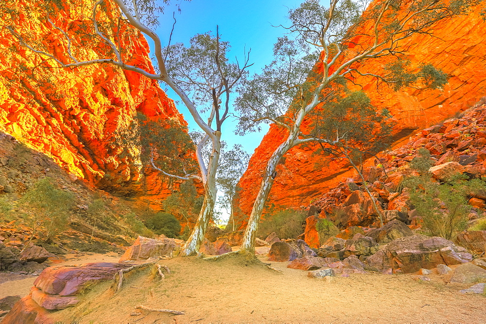 Scenic Simpsons Gap and permanent vegetation in West MacDonnell Ranges, near Alice Springs on Larapinta Trail in winter season, Northern Territory, Central Australia, Pacific