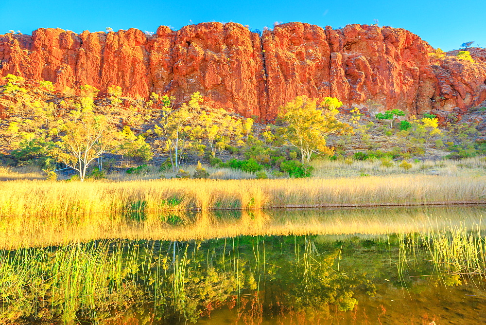 Scenic red sandstone wall and bush vegetation reflected in waterhole, Glen Helen Gorge at West MacDonnell Ranges, Central Australian Outback along Red Centre Way, Northern Territory, Australia, Pacific