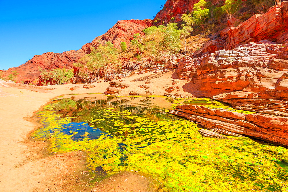 Viewpoint between Pound Walk and Ghost Gum Walk where rocky cliffs of Ormiston Gorge reflected in a pool on dry river in West MacDonnell Range, Red Centre, Northern Territory, Central Australia, Pacific