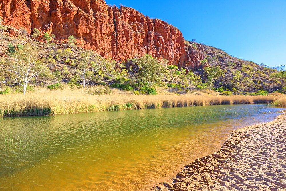 White sand at shoreline of waterhole at Glen Helen Gorge on Finke River in the dry season, West MacDonnell Ranges, Northern Territory, Central Australia, Pacific