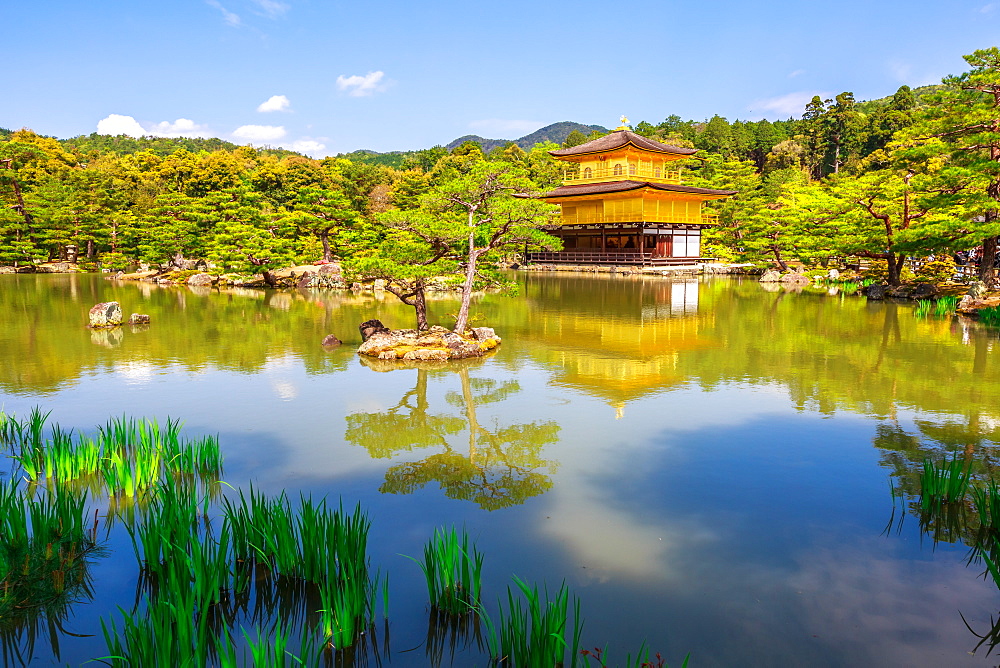 Kinkaku-ji (Golden Pavilion) (Rokuon-ji), Zen Buddhist temple, reflected in the lake surrounded by a scenic park, UNESCO World Heritage Site, Kyoto, Japan, Asia