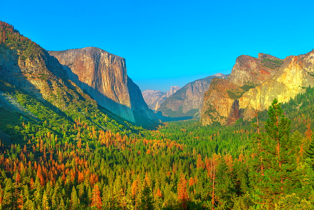 Tunnel View overlook in Yosemite National Park, El Capitan and Half Dome overlook, UNESCO World Heritage Site, California, United States of America, North America