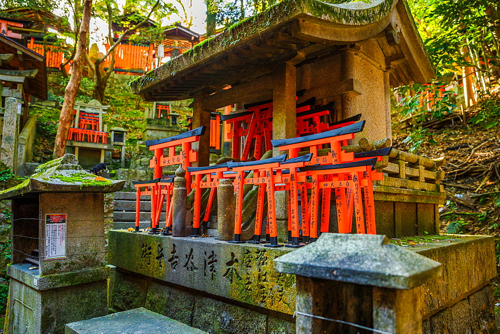 Fushimi Inari Taisha, the most important Shinto shrine, famous for its thousand red torii gates, Kyoto, Japan, Asia