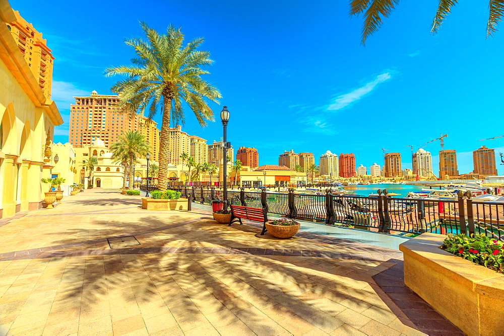 Palm trees along luxury marina corniche walkway promenade in Porto Arabia at the Pearl-Qatar, residential skyscrapers in the background, Persian Gulf, Doha, Qatar, Middle East