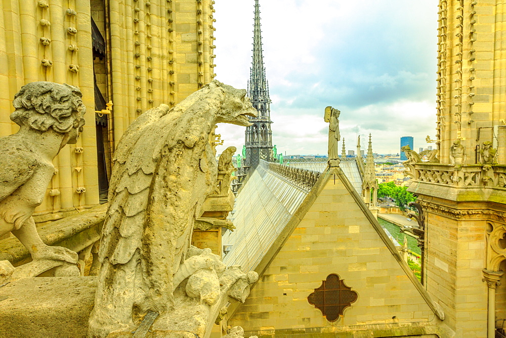 The gargoyles of Notre Dame Cathedral (Our Lady of Paris) and aerial view over the Paris skyline, Paris, France, Europe