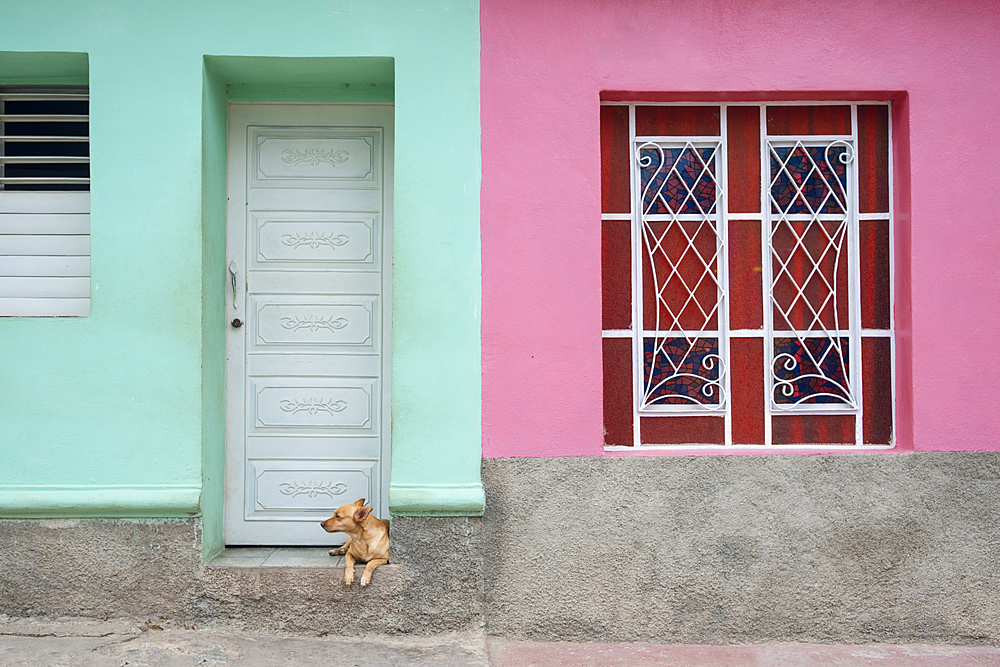 Dog lounging outside a colorful house in Trinidad, Cuba, West Indies, Caribbean, Central America