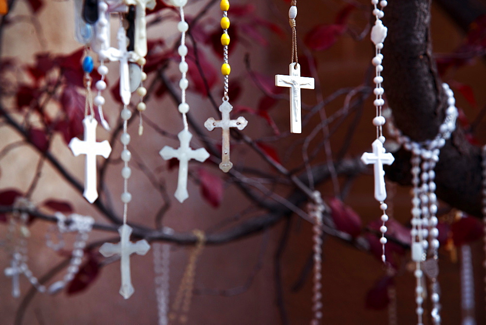 Rosaries left by worshippers, hanging from a tree outside a church in Santa Fe, New Mexico, United States of America, North America