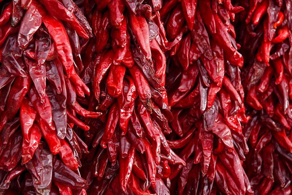 Hanging bunches of dried chili peppers for sale in Santa Fe, New Mexico, United States of America, North America