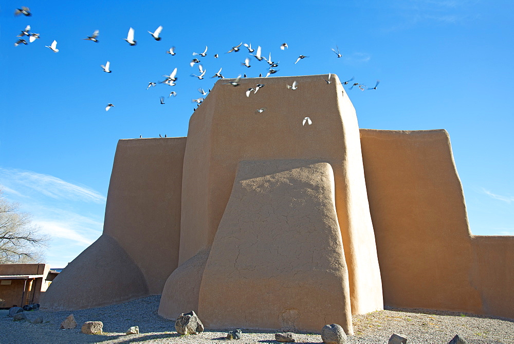 Flock of pigeons flying from the historic adobe San Francisco de Asis church in Taos, New Mexico, United States of America, North America