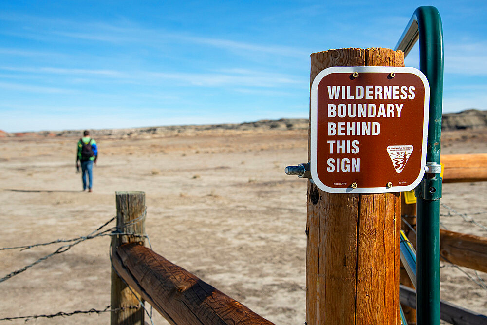 Bisti/De-Na-Zin Wilderness in New Mexico, United States of America, North America