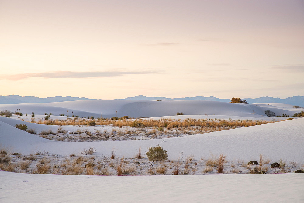 White Sands National Park near Alamogordo, New Mexico, United States of America, North America