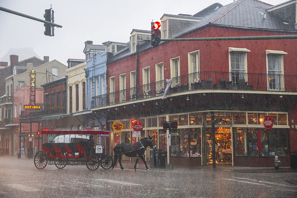 A horse dashes along the street trying to escape a sudden downpour during a storm in New Orleans. French Quarter, New Orleans, Louisiana, United States of America, North America