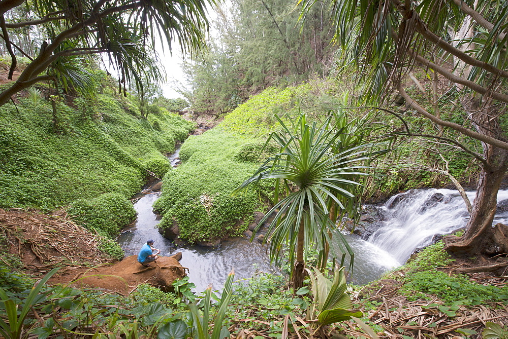 Man crouched by a waterfall on Kauai, Hawaii, United States of America, North America