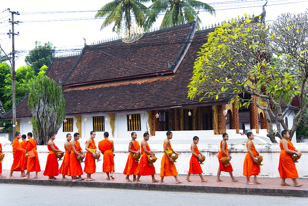 Buddhist monks receive rice from locals during an early morning daily ritual known as Sai Bat (morning alms) in Luang Prabang, Laos, Indochina, Southeast Asia, Asia