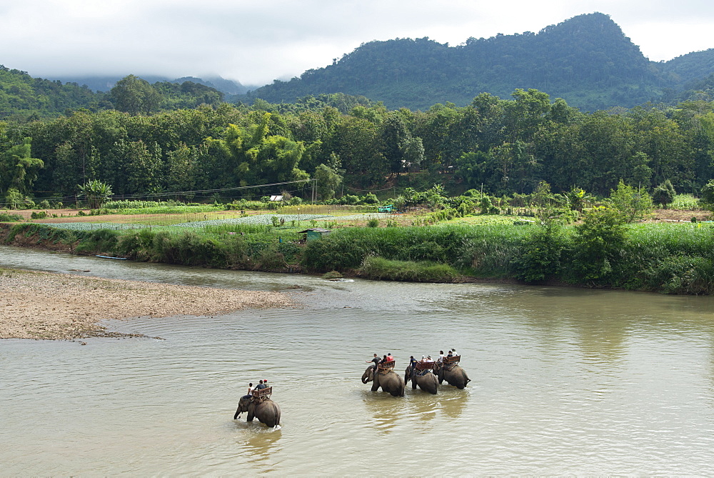 Riding Asian elephants near Luang Prabang, Laos, Indochina, Southeast Asia, Asia