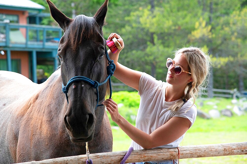 A young woman grooms a horse at a stable before a trail ride in Merritt, British Columbia, Canada, North America