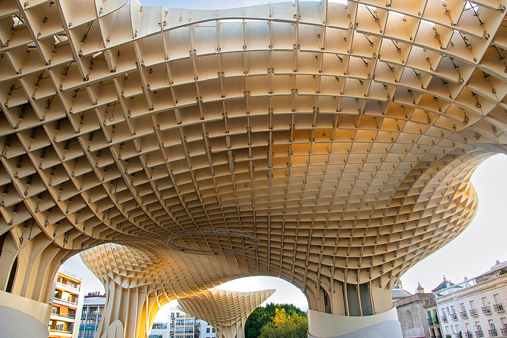 The Metropol Parasol (Las Setas de Sevilla) in Seville, Andalucia, Spain, Europe