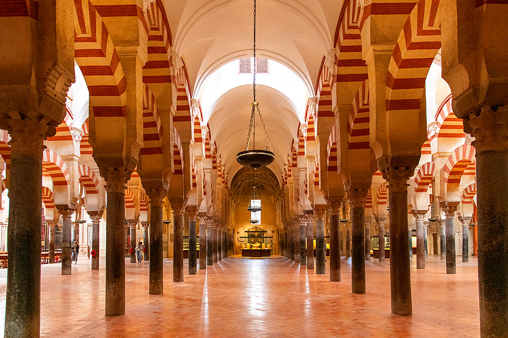 Interior of Mezquita de Cordoba (the Mosque-Cathedral of Cordoba), UNESCO World Heritage Site, Cordoba, Andalusia, Spain,  Europe