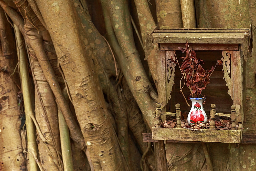 A wooden tree shrine on a Banyan tree, containing a ceramic vase and a bunch of twigs, Yangon (Rangoon), Myanmar (Burma), Asia