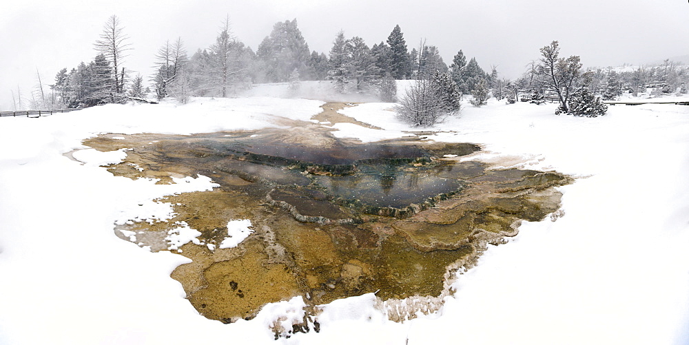 Hot Springs on a hill of travertine covered in snow, Mammoth Hot Springs, Yellowstone National Park, Wyoming, United States of America, North America