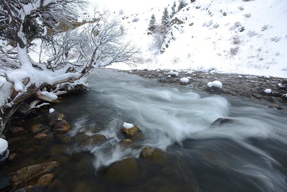 Gardner River, Montana, United States of America, North America