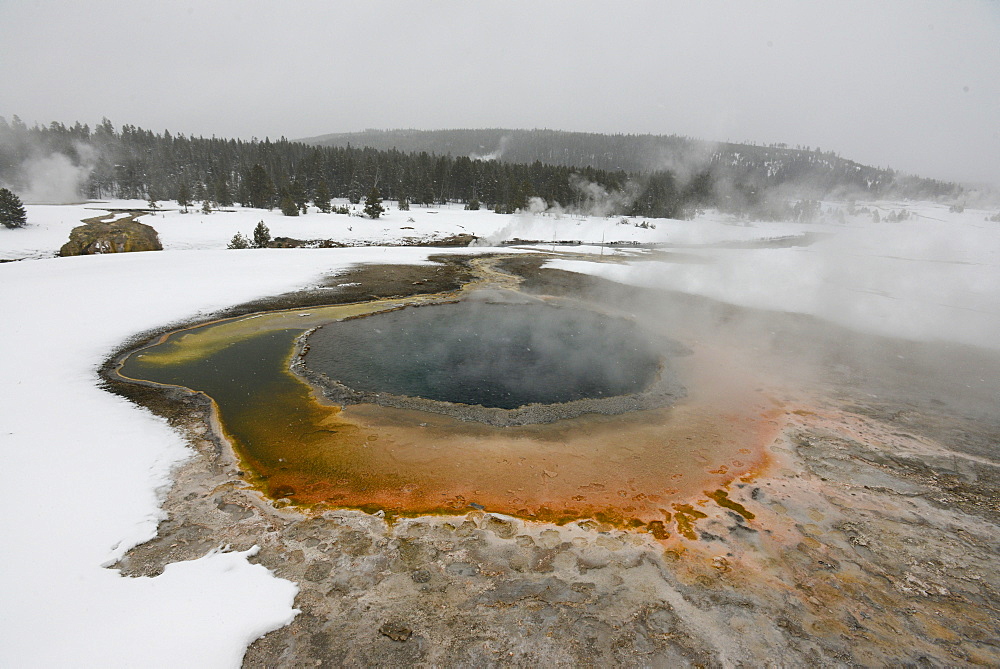 Hot Springs, Lower Geyser Basin, Yellowstone National Park, Wyoming, United States of America, North America