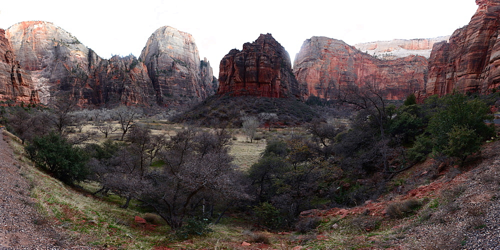 Virgin River's Big Bend, Utah, United States of America, North America