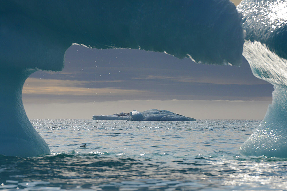 Icebergs, Nunavut and Northwest Territories, Canada, North America