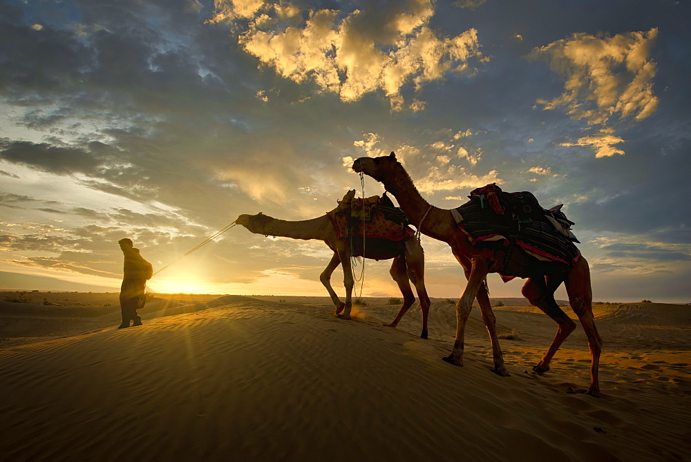 A camel trader in the famous Sam Sand dunes in Jaisalmer region of Rajasthan state, India, Asia