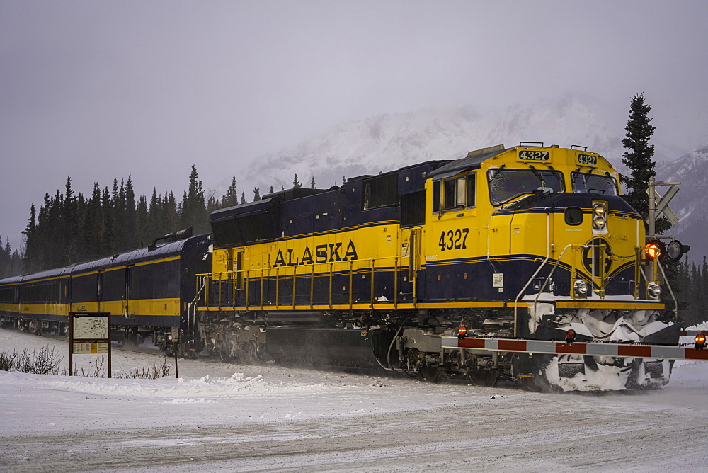 Alaskan Railroad going through Denali National Park in the winter, Alaska, United States of America, North America