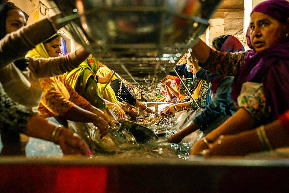 Volunteers handwash all the dishes at the Golden Temple, Amritsar, Punjab, India, Asia