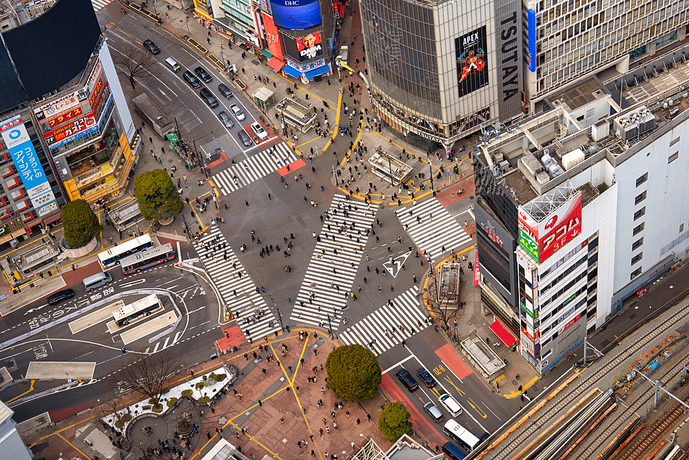 Aerial view of Shibuya crossing, Tokyo, Honshu, Japan, Asia