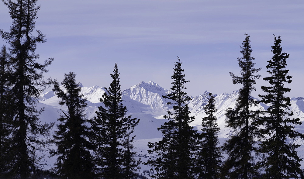 The snowy mountain ranges of Denali National Park in the winter, Alaska, United States of America, North America