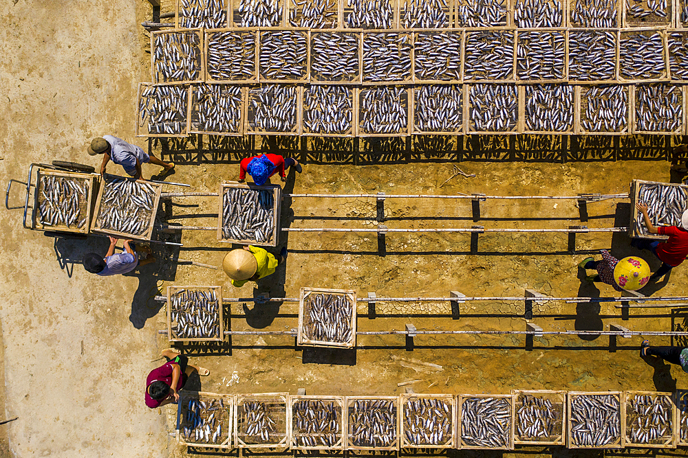 Drying fish in Vung Tau, Vietnam, Indochina, Southeast Asia, Asia