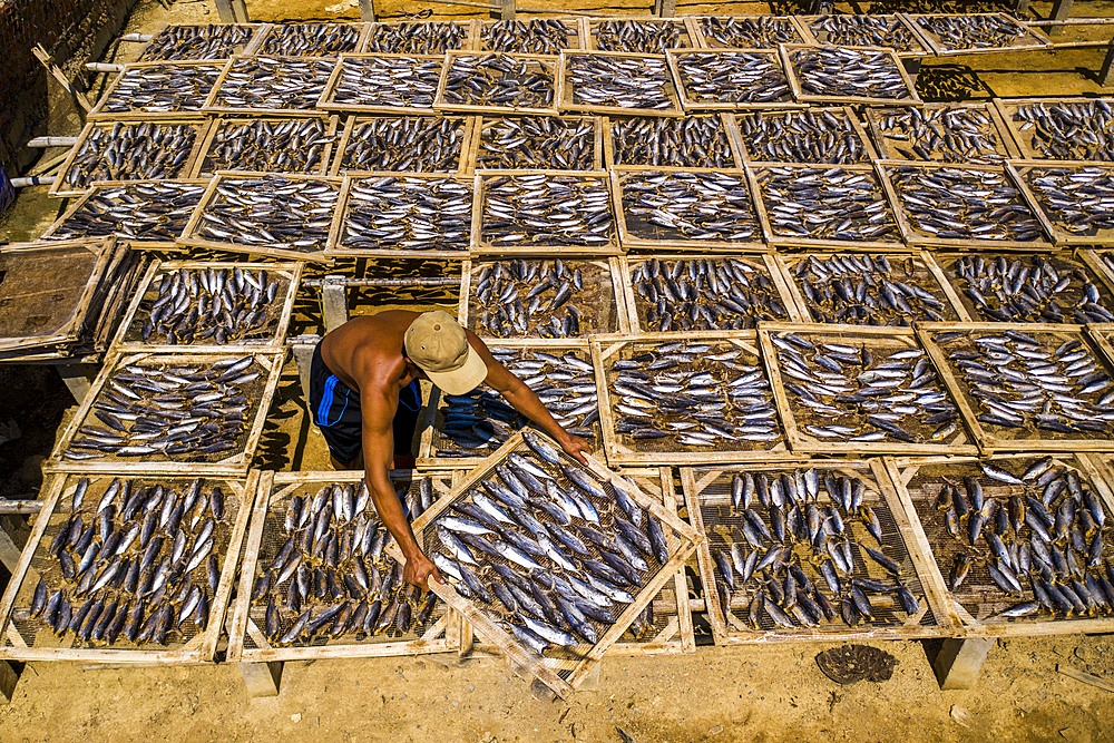 Drying fish in Vung Tau, Vietnam, Indochina, Southeast Asia, Asia