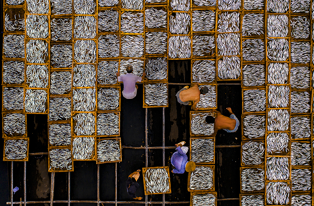 Drying fish in Vung Tau, Vietnam, Indochina, Southeast Asia, Asia