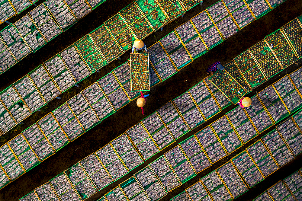 Drying fish in Vung Tau, Vietnam, Indochina, Southeast Asia, Asia