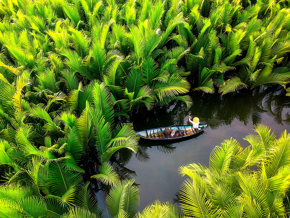 Fisherman fishing in the middle of nipa palm forest, Quang Ngai, Vietnam, Indochina, Southeast Asia, Asia