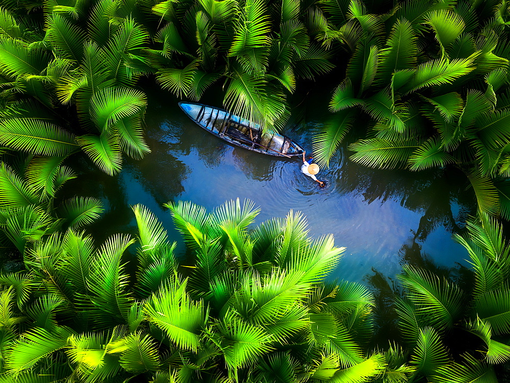 Fisherman fishing in the middle of nipa palm forest, Quang Ngai, Vietnam, Indochina, Southeast Asia, Asia